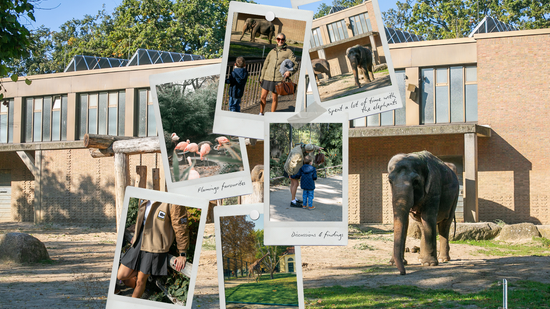 A Bank Holiday Stroll at the Zoo 🦓 with full DIY outfit – skorts & bomber jacket